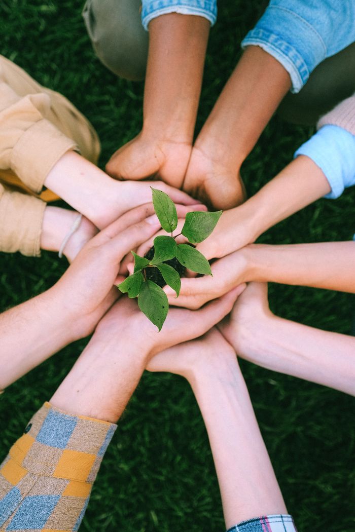 The Art of Drawing Readers In: Your attractive post title goes here Hands united around a plant symbolizing teamwork and eco-friendly efforts outdoors.